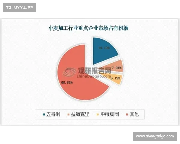 安联作为全球知名赞助商的影响力与战略布局分析